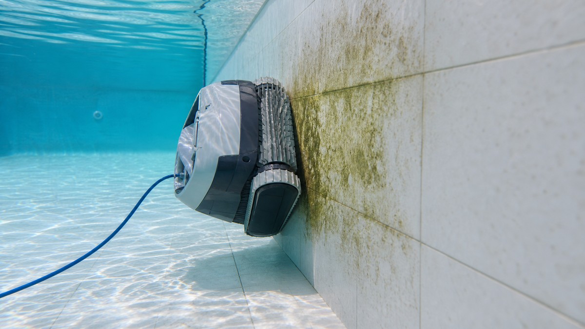 Robô limpa-fundos a patinar na parede de uma piscina com biofilme esverdeado visível